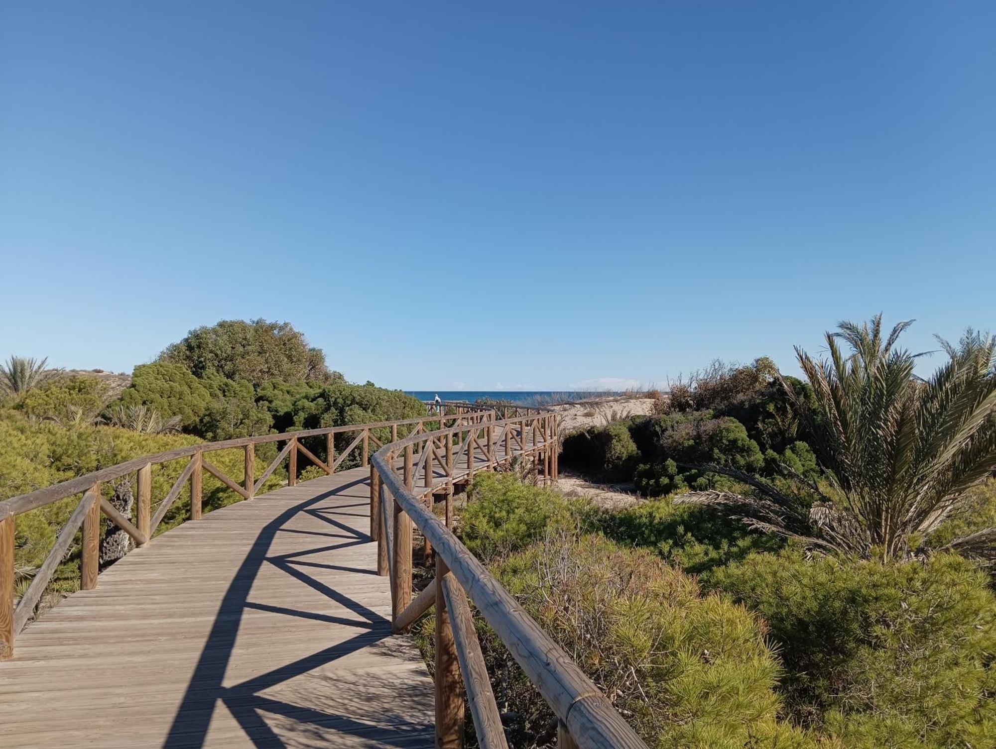 Bonito Apartamento 150 M De La Playa La Mata La Mata  Εξωτερικό φωτογραφία