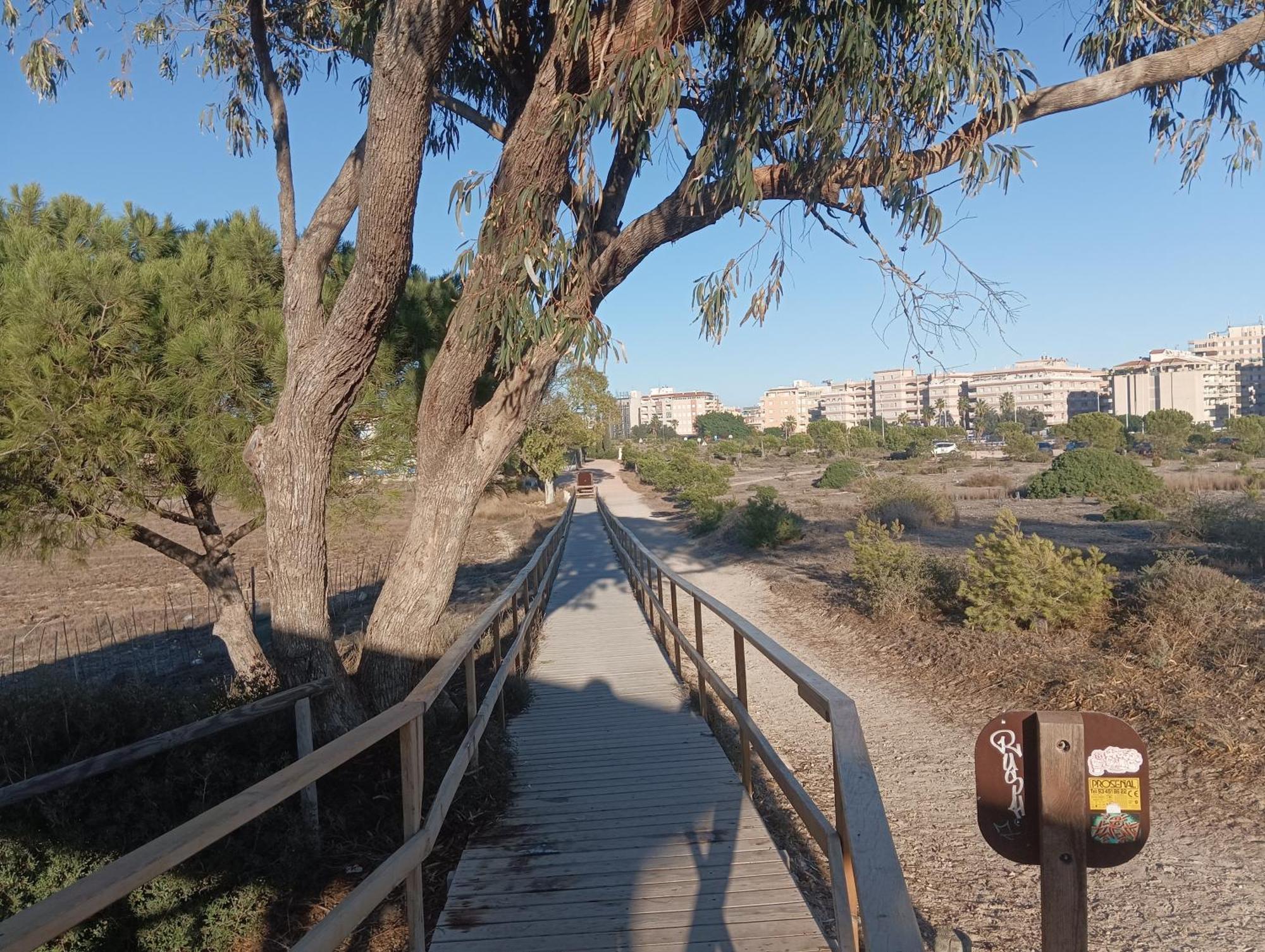 Bonito Apartamento 150 M De La Playa La Mata La Mata  Εξωτερικό φωτογραφία