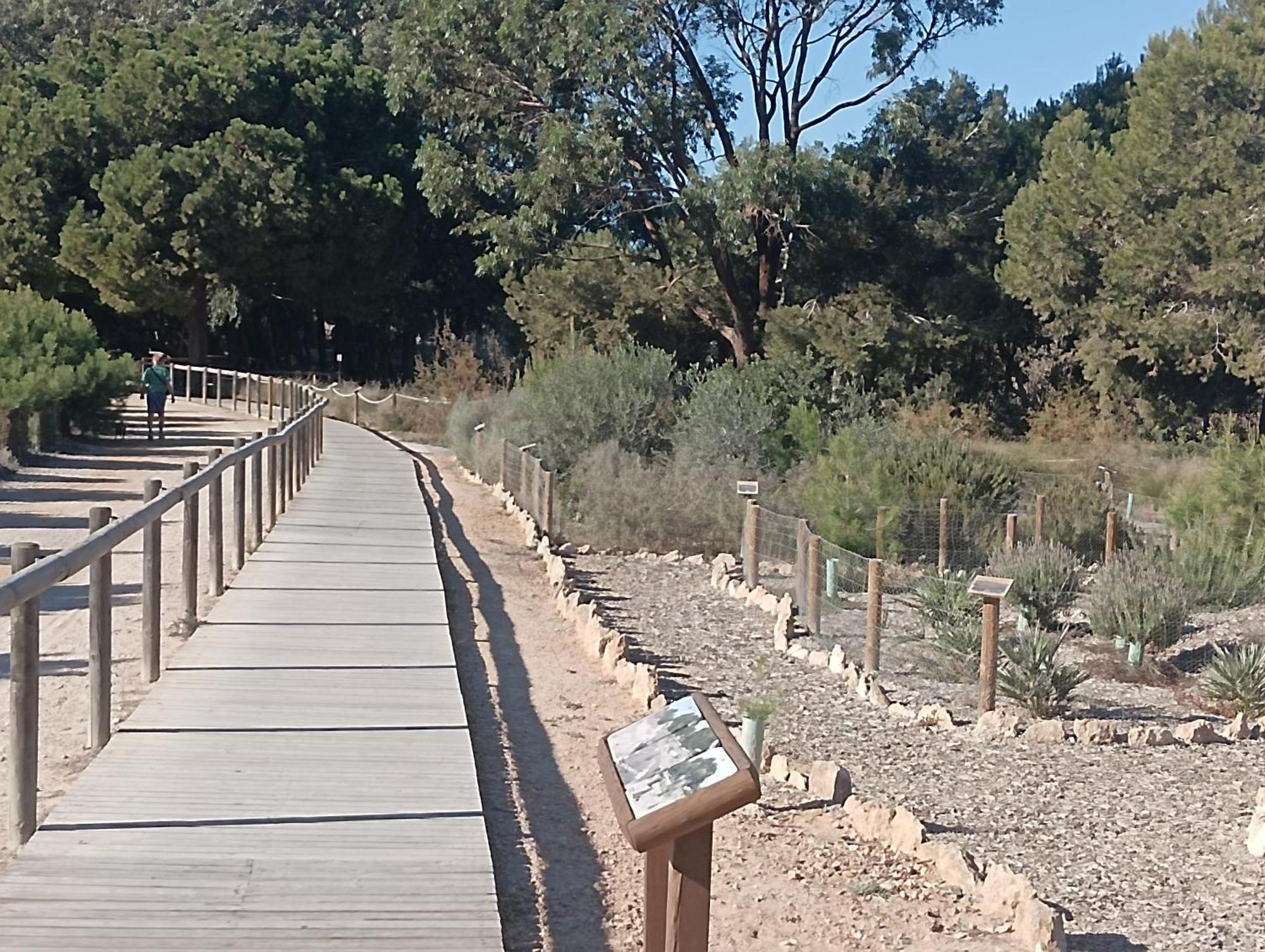 Bonito Apartamento 150 M De La Playa La Mata La Mata  Εξωτερικό φωτογραφία