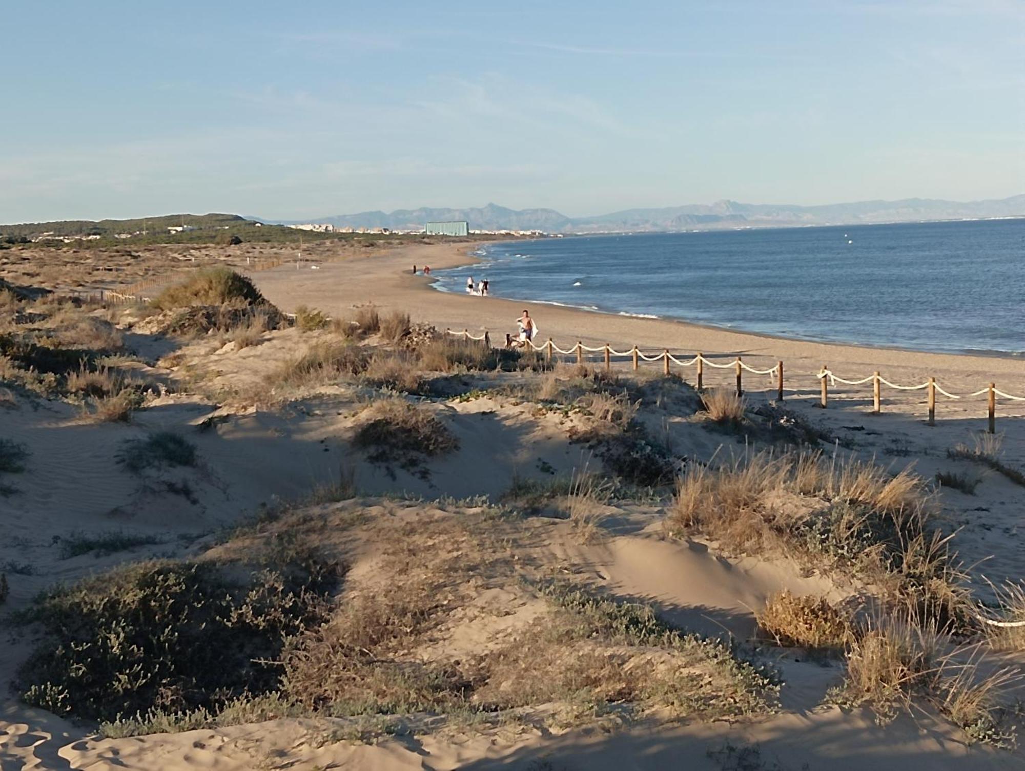 Bonito Apartamento 150 M De La Playa La Mata La Mata  Εξωτερικό φωτογραφία