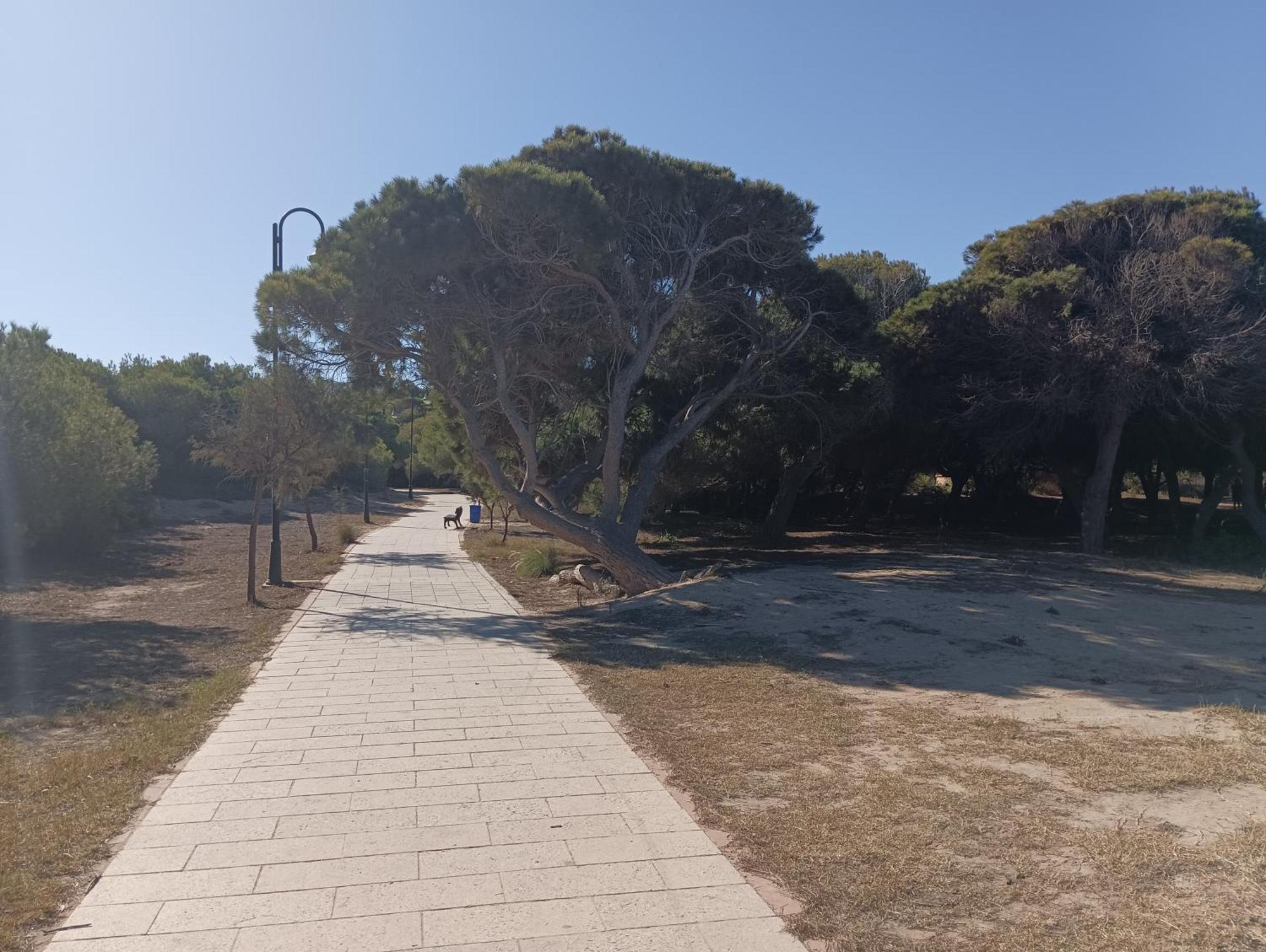Bonito Apartamento 150 M De La Playa La Mata La Mata  Εξωτερικό φωτογραφία