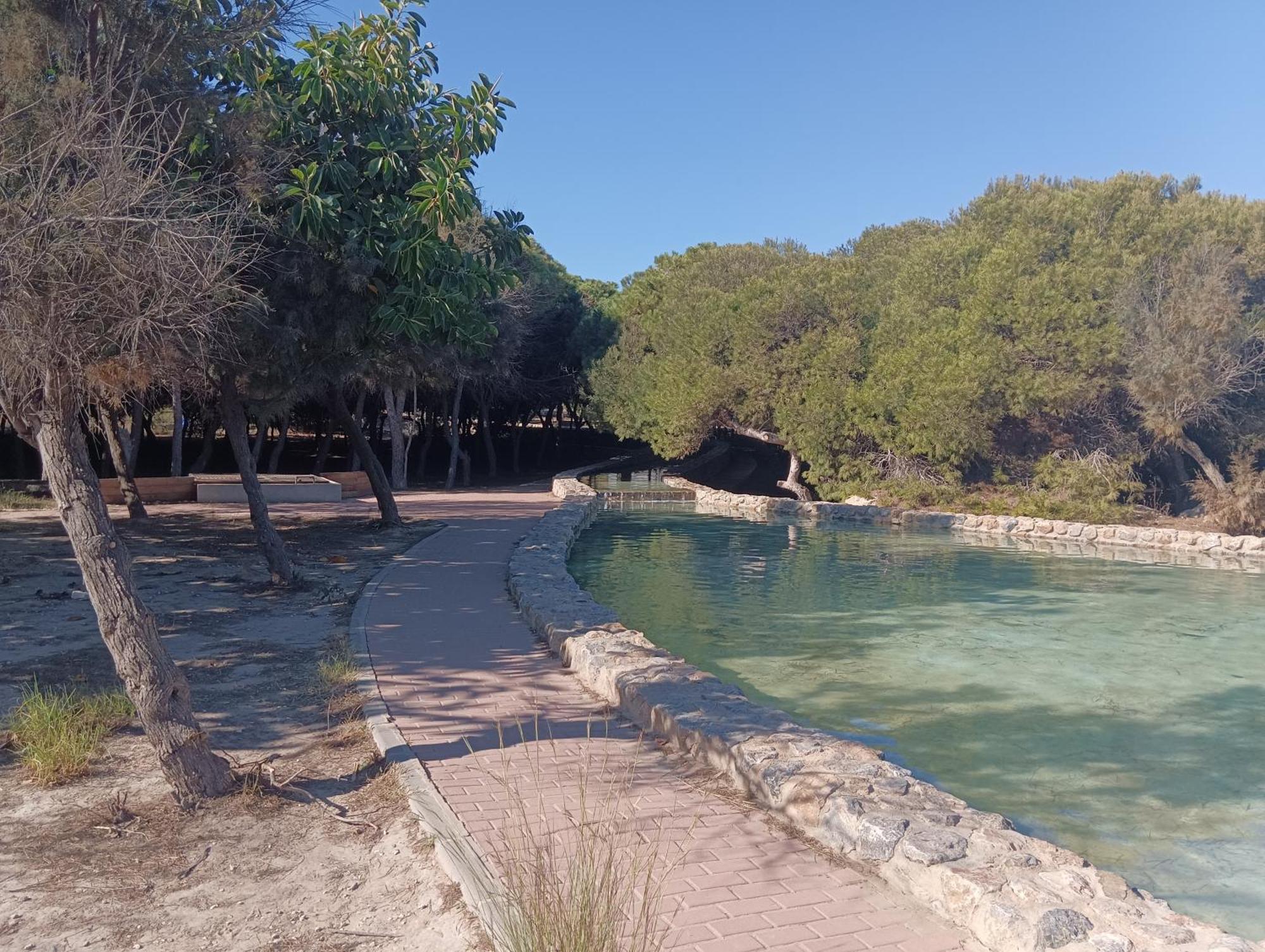 Bonito Apartamento 150 M De La Playa La Mata La Mata  Εξωτερικό φωτογραφία
